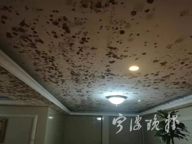 回南天氣梅雨季墻面受潮發(fā)霉用除濕機(jī)好嗎？