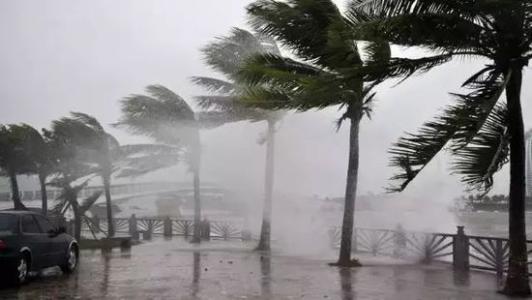 8月臺(tái)風(fēng)雨即將來(lái)，除濕機(jī)還得用起來(lái)