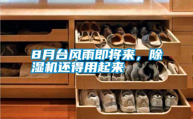 8月臺風(fēng)雨即將來，除濕機(jī)還得用起來
