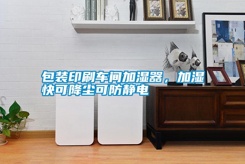 包裝印刷車間加濕器，加濕快可降塵可防靜電