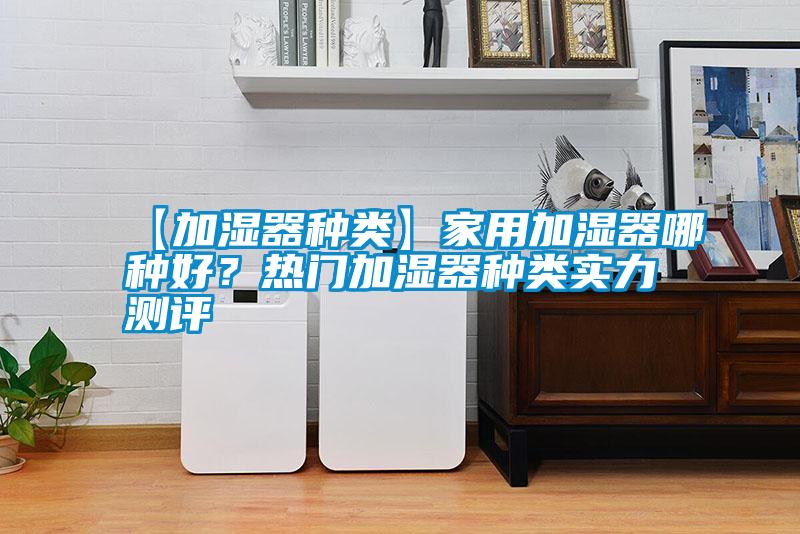 【加濕器種類】家用加濕器哪種好？熱門加濕器種類實力測評