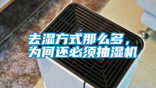 去濕方式那么多，為何還必須抽濕機(jī)