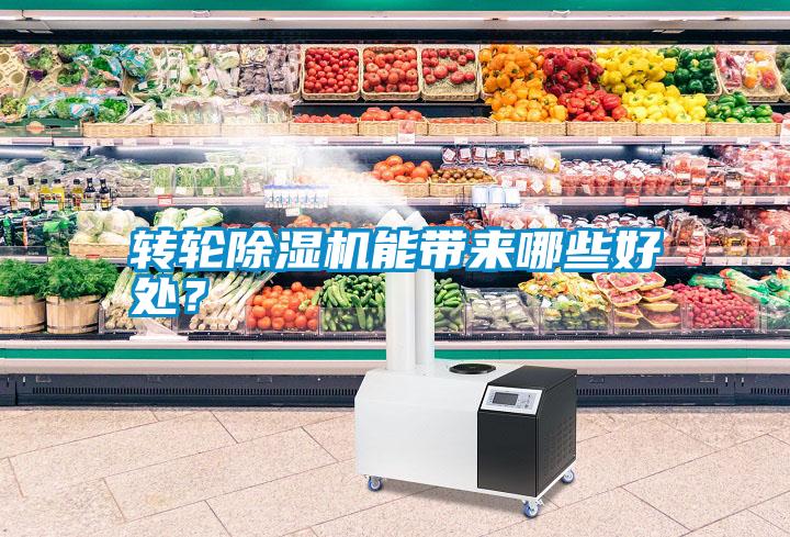 轉(zhuǎn)輪除濕機(jī)能帶來(lái)哪些好處？