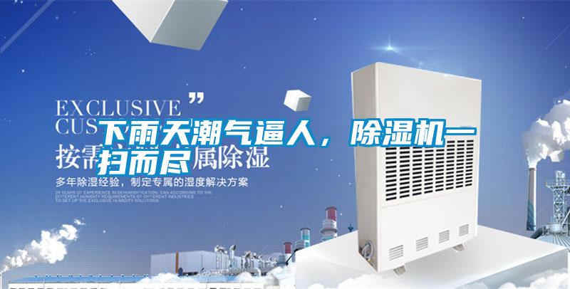 下雨天潮氣逼人，除濕機(jī)一掃而盡