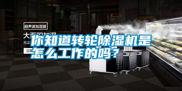 你知道轉(zhuǎn)輪除濕機是怎么工作的嗎？