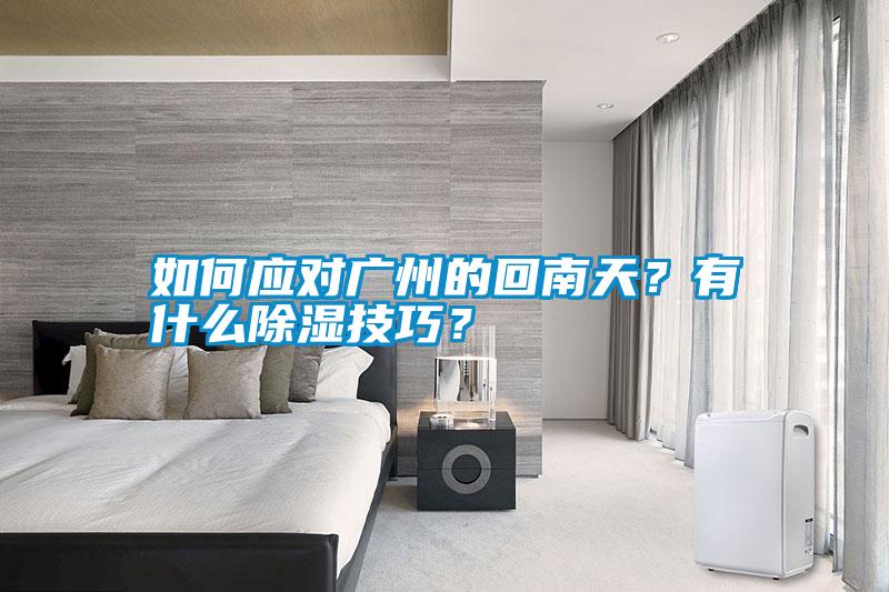 如何應(yīng)對(duì)廣州的回南天？有什么除濕技巧？