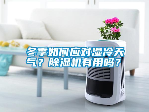 冬季如何應(yīng)對濕冷天氣？除濕機(jī)有用嗎？