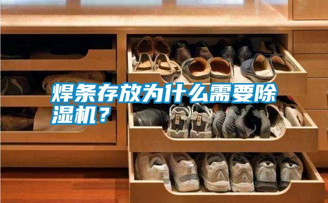 焊條存放為什么需要除濕機(jī)？