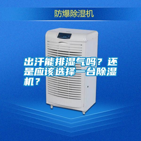 出汗能排濕氣嗎？還是應(yīng)該選擇一臺除濕機(jī)？