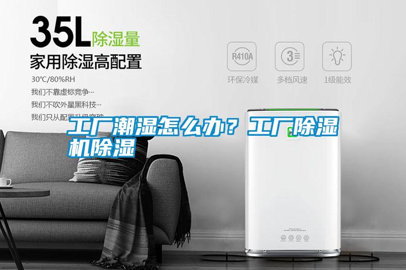 工廠潮濕怎么辦？工廠除濕機(jī)除濕