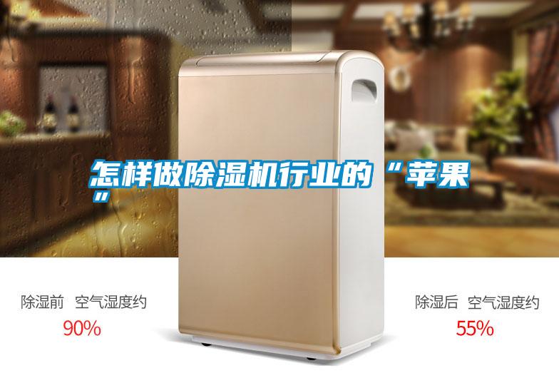 怎樣做除濕機行業(yè)的“蘋果”