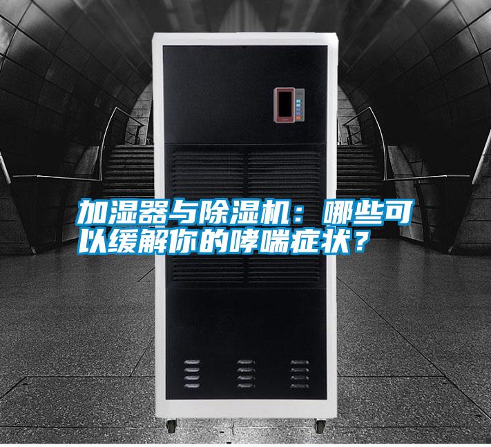 加濕器與除濕機：哪些可以緩解你的哮喘癥狀？