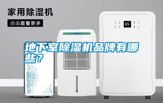 地下室除濕機(jī)品牌有哪些？