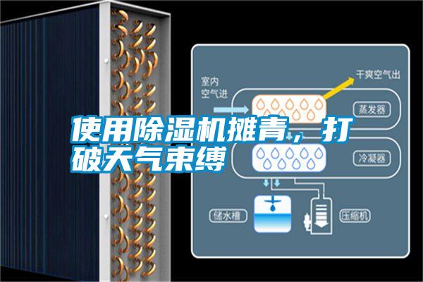 使用除濕機(jī)攤青，打破天氣束縛