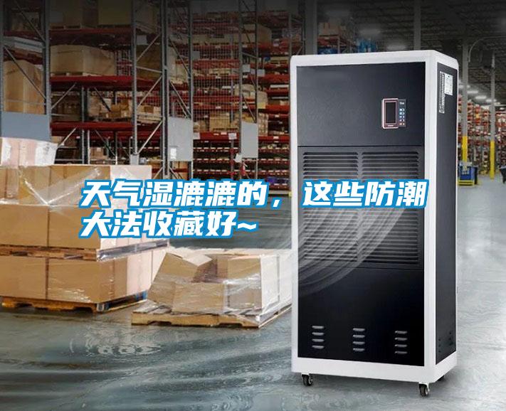 天氣濕漉漉的，這些防潮大法收藏好~