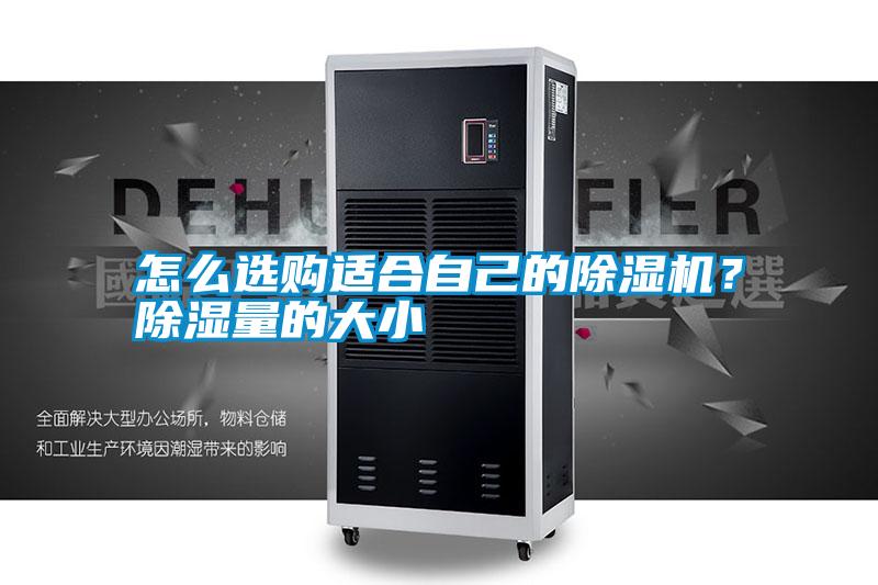 怎么選購適合自己的除濕機(jī)？除濕量的大小