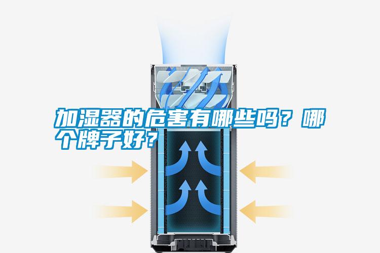 加濕器的危害有哪些嗎？哪個牌子好？
