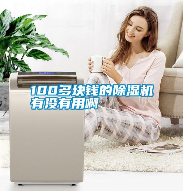 100多塊錢的除濕機(jī)有沒有用啊