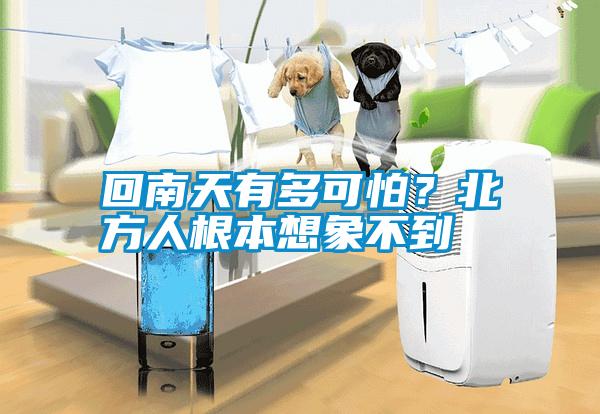 回南天有多可怕？北方人根本想象不到