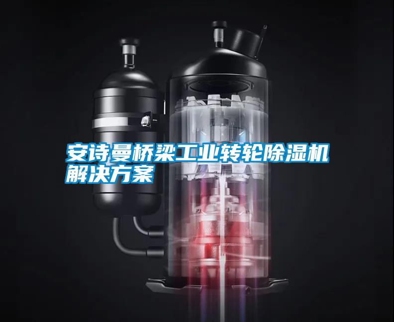 安詩曼橋梁工業(yè)轉(zhuǎn)輪除濕機解決方案