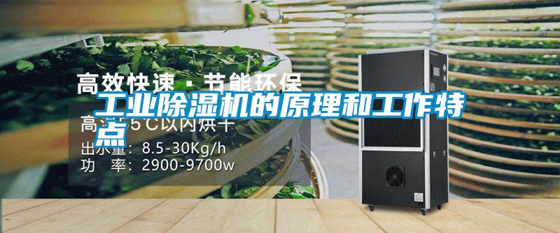工業(yè)除濕機的原理和工作特點