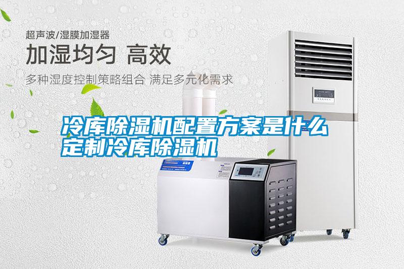 冷庫除濕機(jī)配置方案是什么 定制冷庫除濕機(jī)