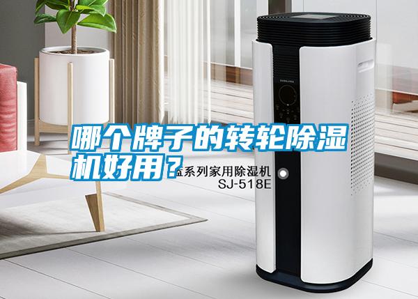哪個(gè)牌子的轉(zhuǎn)輪除濕機(jī)好用？