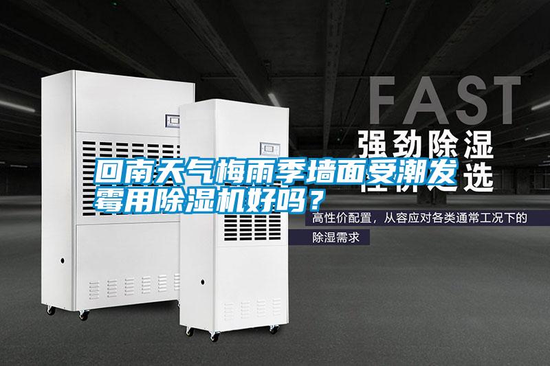回南天氣梅雨季墻面受潮發(fā)霉用除濕機好嗎？
