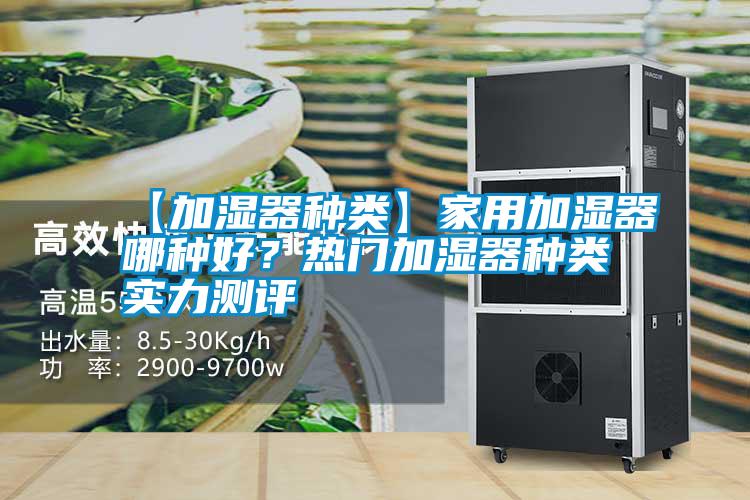 【加濕器種類(lèi)】家用加濕器哪種好？熱門(mén)加濕器種類(lèi)實(shí)力測(cè)評(píng)