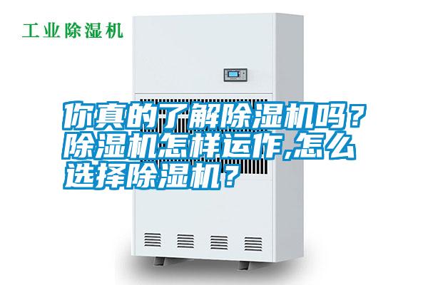 你真的了解除濕機嗎？除濕機怎樣運作,怎么選擇除濕機？