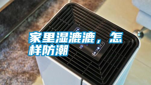 家里濕漉漉，怎樣防潮