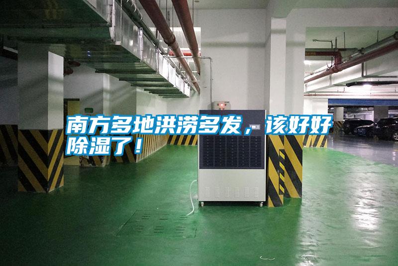 南方多地洪澇多發(fā)，該好好除濕了！