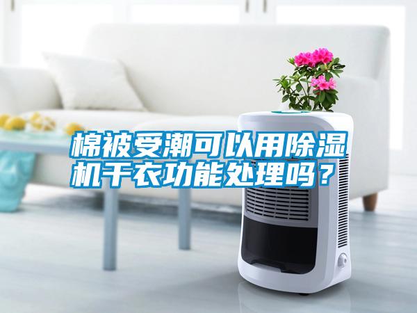 棉被受潮可以用除濕機(jī)干衣功能處理嗎？