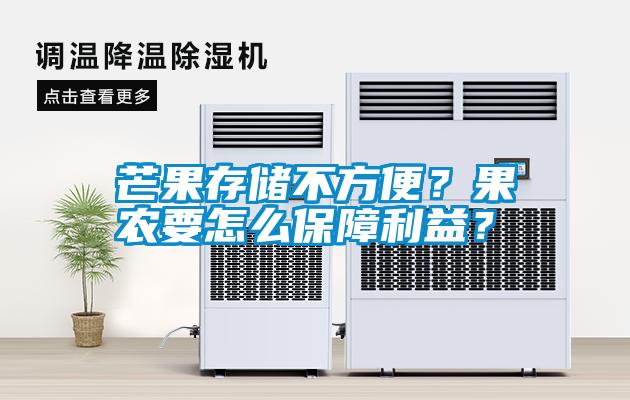 芒果存儲不方便？果農(nóng)要怎么保障利益？