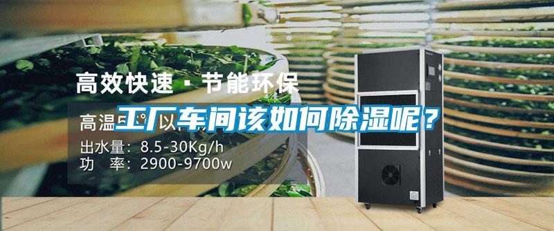 工廠車間該如何除濕呢？