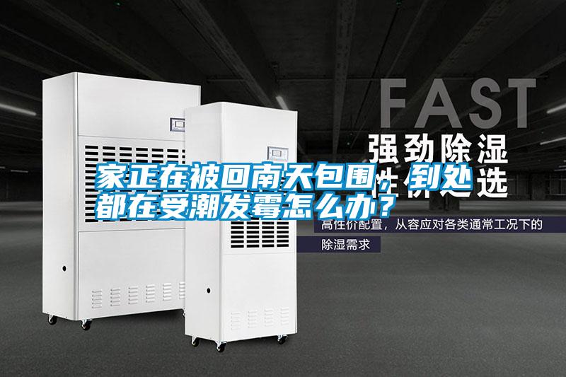 家正在被回南天包圍，到處都在受潮發(fā)霉怎么辦？
