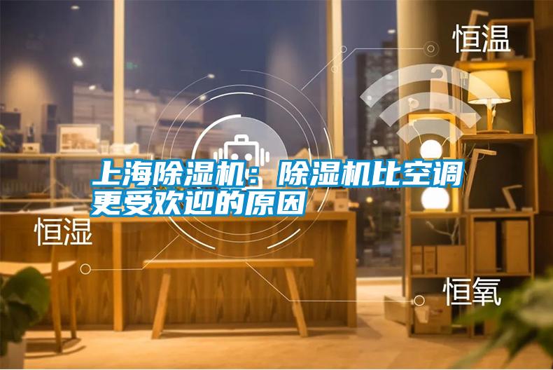 上海除濕機(jī)：除濕機(jī)比空調(diào)更受歡迎的原因