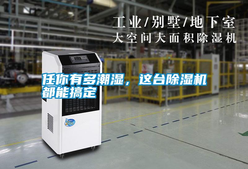 任你有多潮濕，這臺除濕機都能搞定