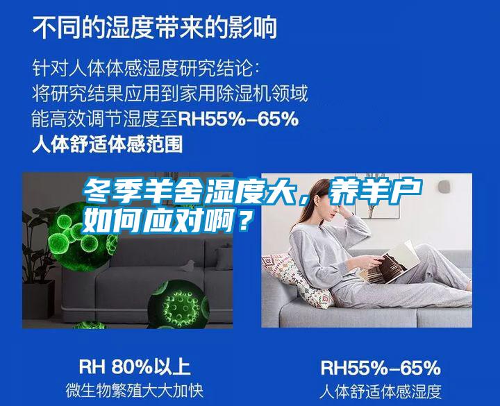 冬季羊舍濕度大，養(yǎng)羊戶如何應(yīng)對啊？