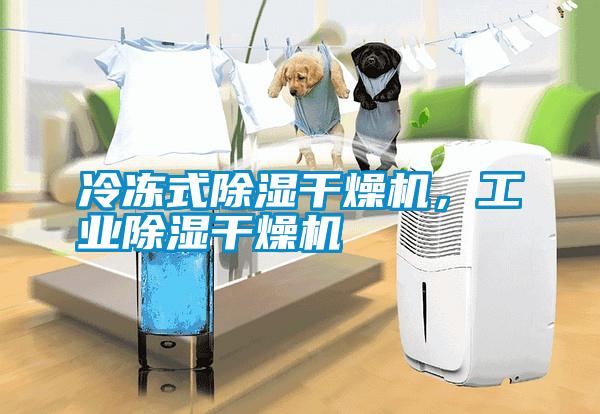 冷凍式除濕干燥機(jī)，工業(yè)除濕干燥機(jī)