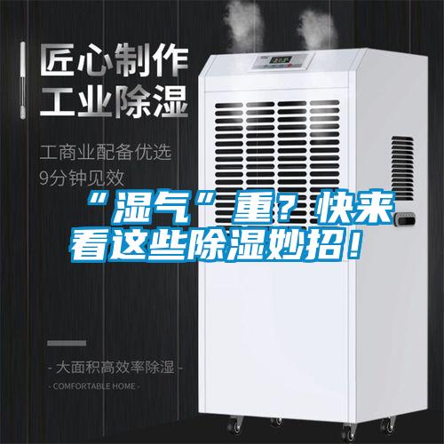 “濕氣”重？快來看這些除濕妙招！