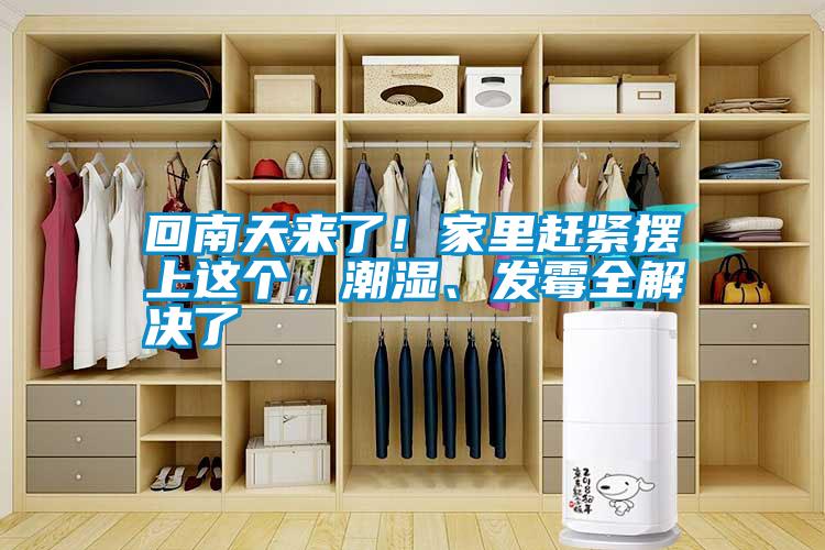 回南天來了！家里趕緊擺上這個，潮濕、發(fā)霉全解決了