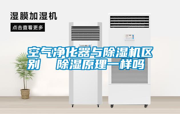 空氣凈化器與除濕機(jī)區(qū)別  除濕原理一樣嗎