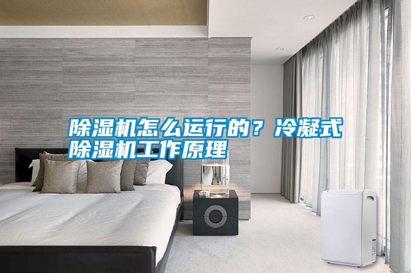 除濕機(jī)怎么運(yùn)行的？冷凝式除濕機(jī)工作原理