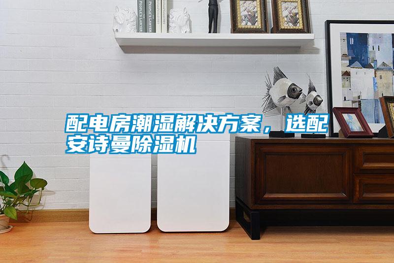 配電房潮濕解決方案，選配安詩曼除濕機
