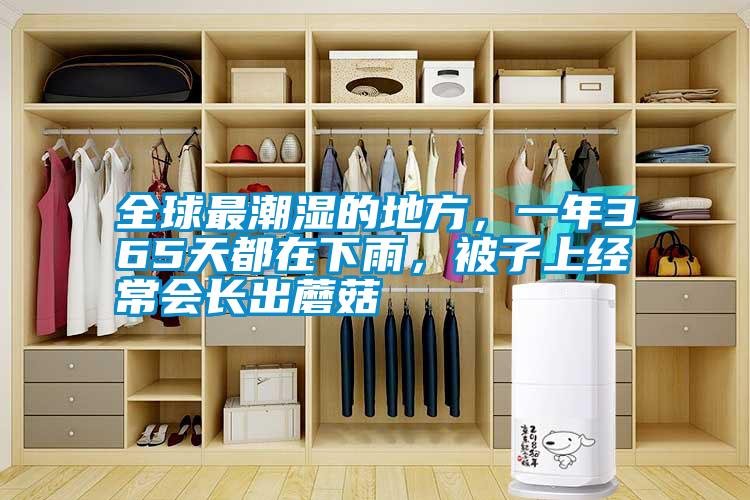 全球最潮濕的地方，一年365天都在下雨，被子上經(jīng)常會(huì)長出蘑菇