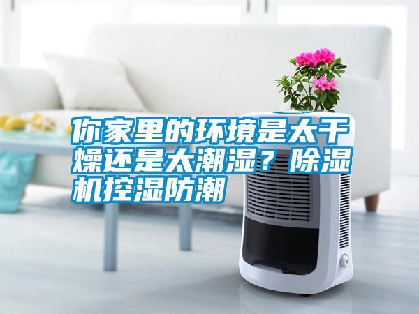 你家里的環(huán)境是太干燥還是太潮濕？除濕機(jī)控濕防潮