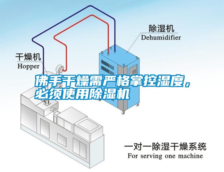 佛手干燥需嚴(yán)格掌控濕度，必須使用除濕機(jī)