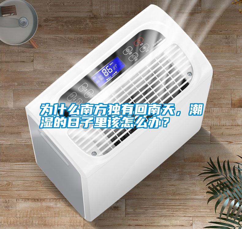 為什么南方獨有回南天，潮濕的日子里該怎么辦？