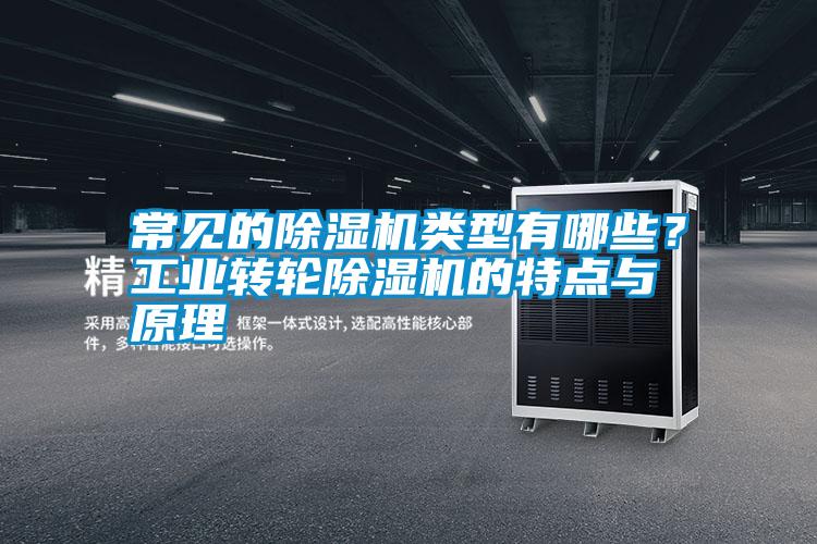 常見(jiàn)的除濕機(jī)類型有哪些？工業(yè)轉(zhuǎn)輪除濕機(jī)的特點(diǎn)與原理